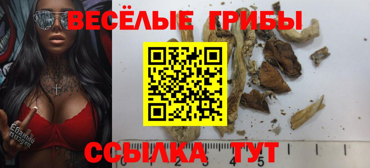 Новоуральск  Галлюциногенные грибы Magic Shrooms  Вход с VPN 